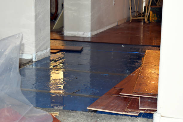 Professional Water Damage Restoration technician working in Humarock, MA
